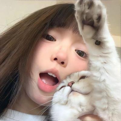 为什么猫都叫不来